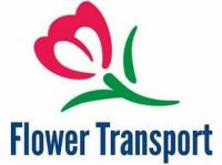 Profile picture for user Flower Transport Kft.