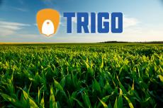 Profile picture for user TRIGO Kft.