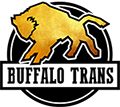 Profile picture for user Buffalo Logistic Group Kft.