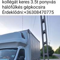 Sofőr állás