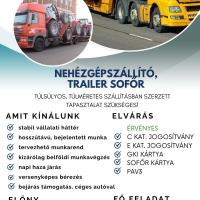 Sofőr állás